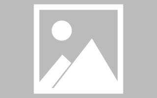 太康编制网站建设（编制网站建设包括哪些）